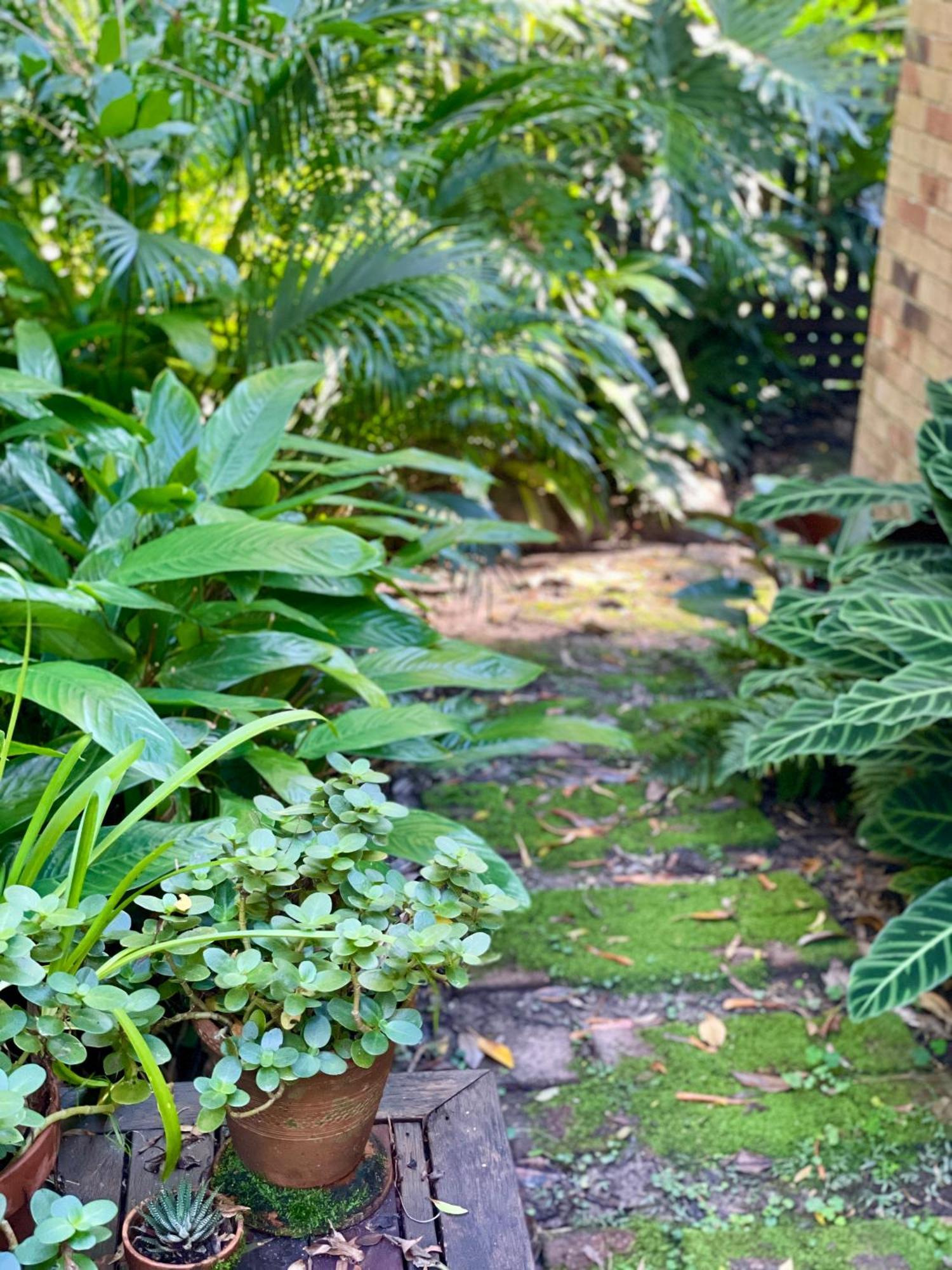 Lilli Pilli Guesthouse Byron Bay Exterior photo