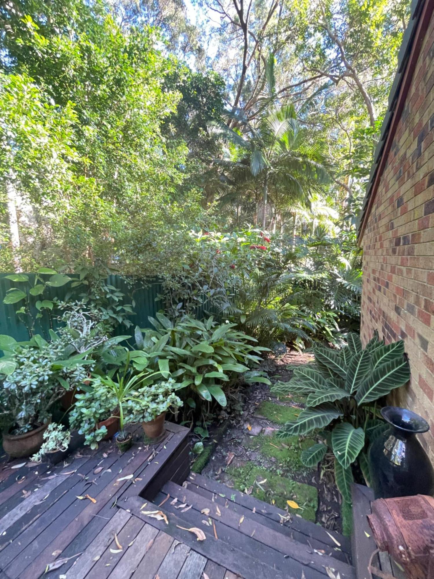 Lilli Pilli Guesthouse Byron Bay Exterior photo